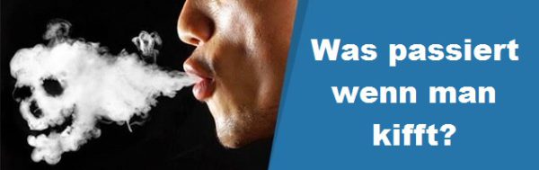 Was Passiert Wenn Man Jeden Tag Kifft kiffenaufhoeren.de